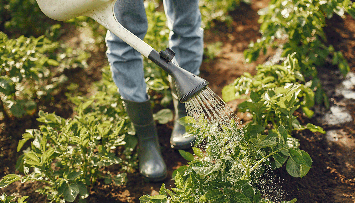 Todavía no conoces los beneficios de beber el Agua de la Jarra Alkanatur ?  Descubre el poder Antioxidante del Agua Alcalina y libre de tóxicos.  Apuesta por la sostenibilidad, y únete a