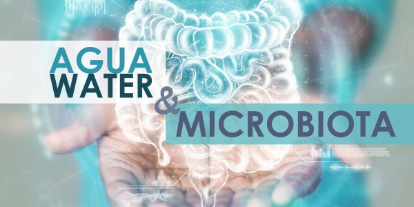 La importancia del agua en la microbiota