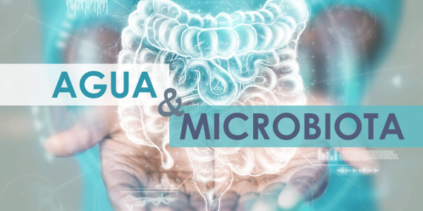 La importancia del agua en la microbiota