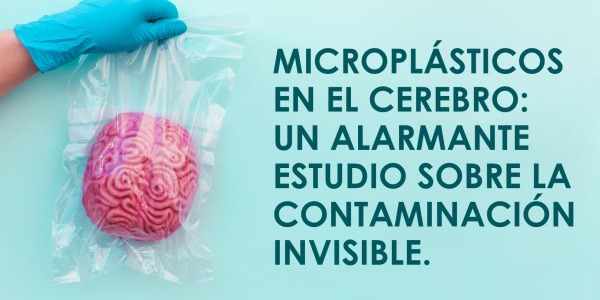 Microplásticos en el cerebro: un alarmante estudio sobre la contaminación invisible