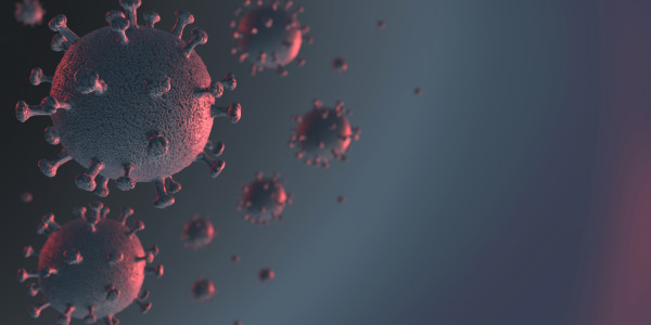 ¿Cómo fortalecer tu sistema inmune y microbiota frente al coronavirus?