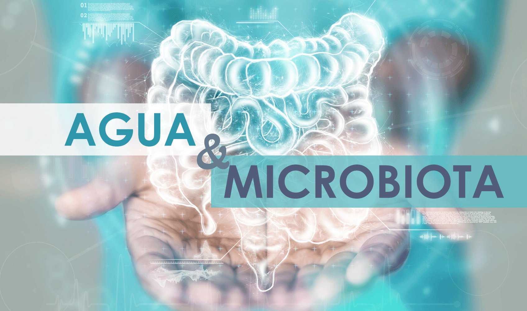 La importancia del agua en la microbiota