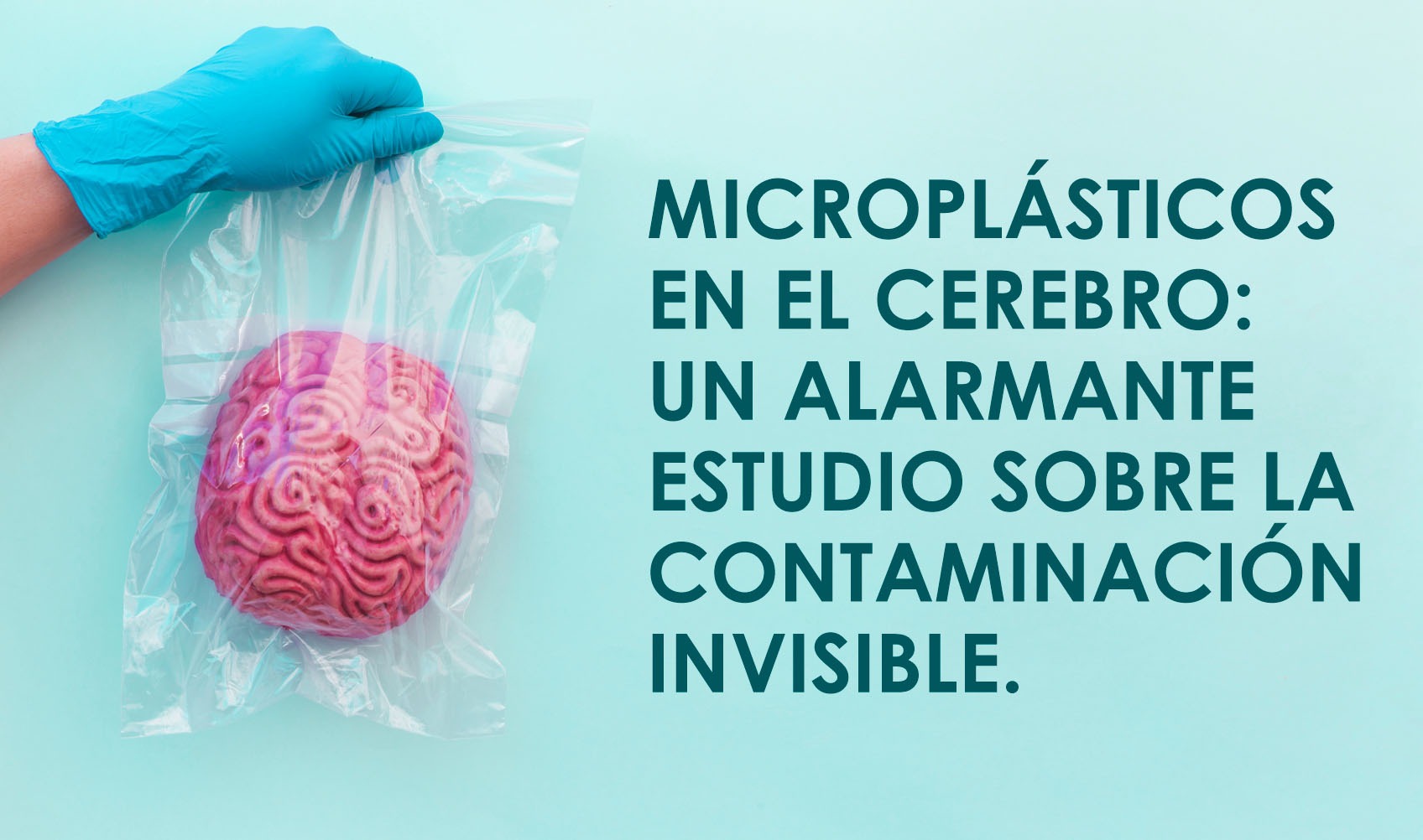 Microplásticos en el cerebro: un alarmante estudio sobre la contaminación invisible