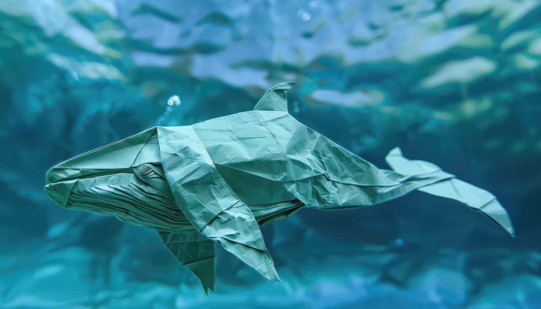 Día Mundial de las Ballenas y los Delfines: pequeños gestos para proteger a los gigantes del océano